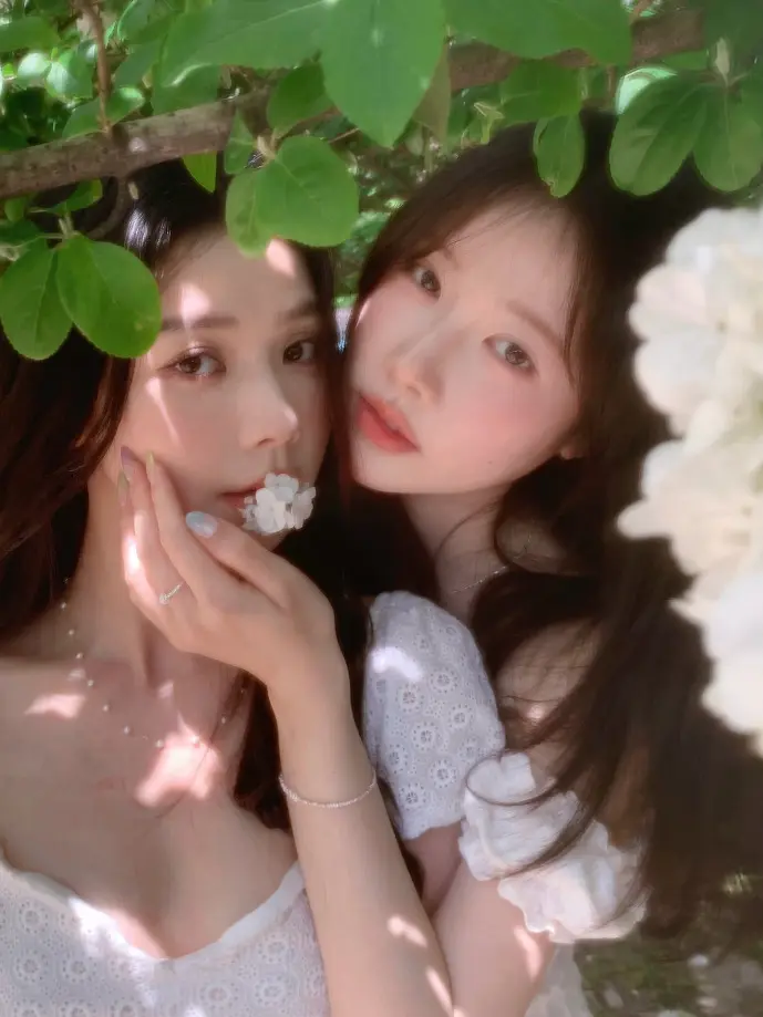 动漫下载数据对比